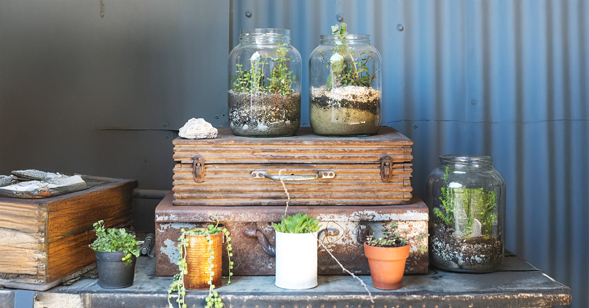 Upcycling Garden Decor: From Trash to Treasure