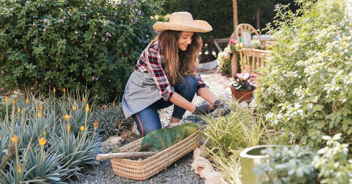 The Ultimate Beginner’s Guide to Gardening