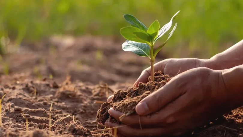 How to Improve Soil Health Before Planting Season Begins