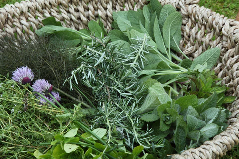 Herb Gardening for Beginners: Fresh Flavors at Your Fingertips