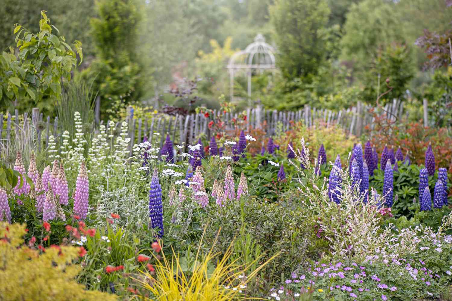 How to Design a Romantic Flower-Filled Yard