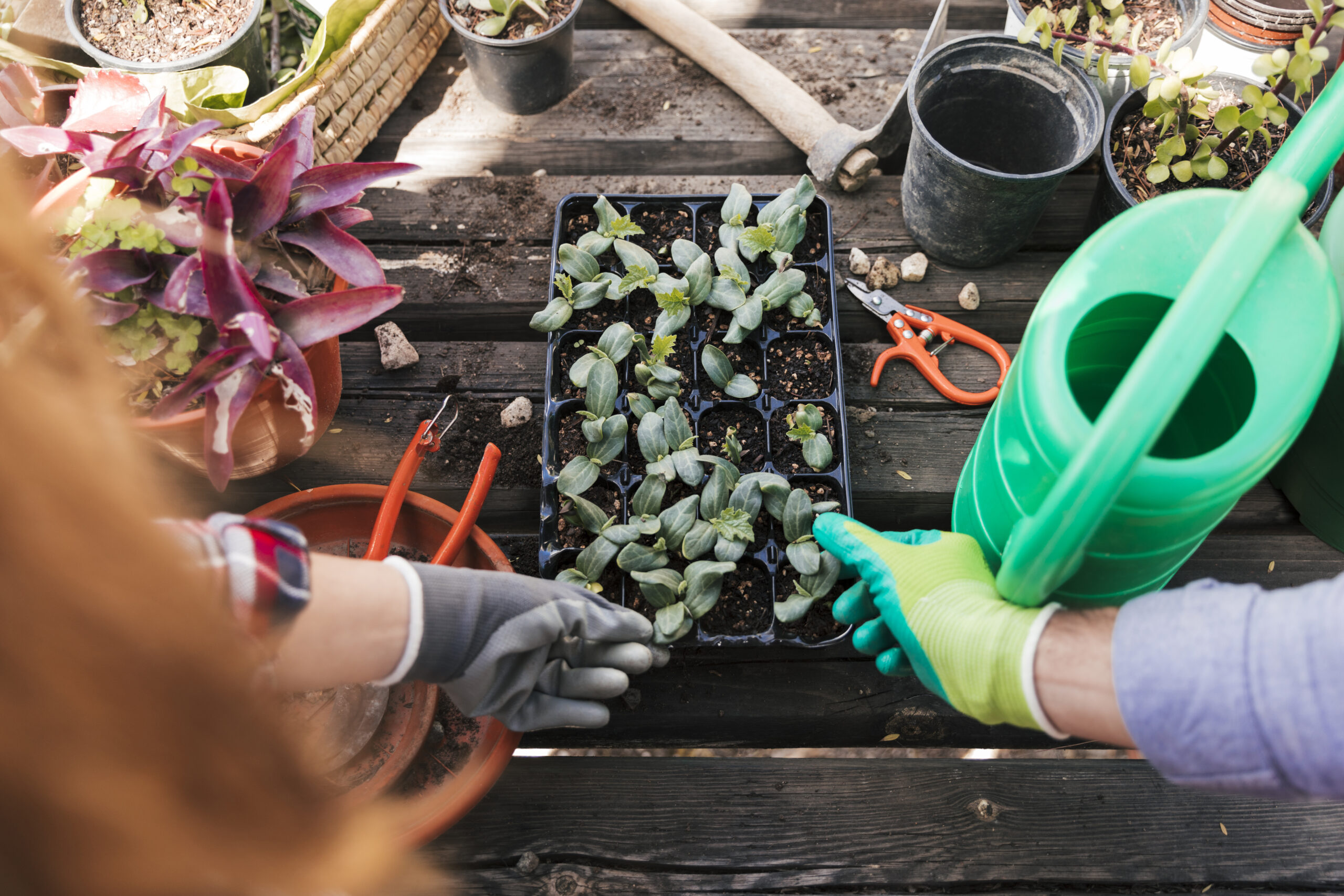 How to Prepare Your Garden for a Successful Growing Season