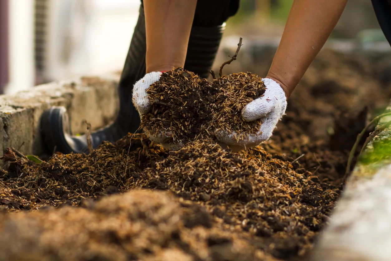 spring garden preparation, best compost for soil, how to improve garden soil naturally, manure vs. compost for gardening, weed control before planting, how to make soil fertile for vegetables